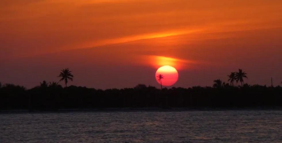 listing image with ID 67464