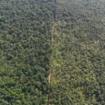 listing image thumbnail with ID 68080