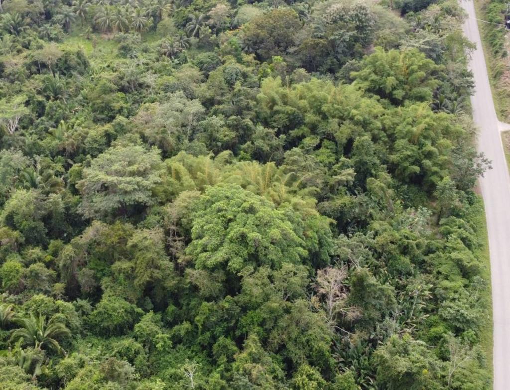 listing image with ID 66573