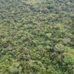 listing image thumbnail with ID 66576