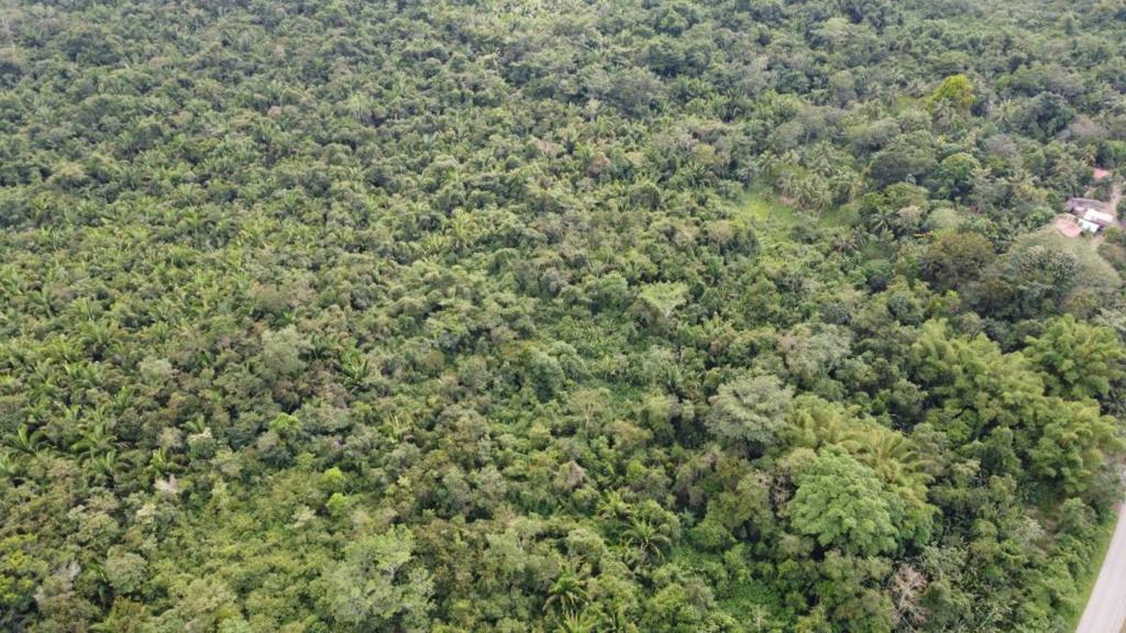 listing image with ID 66576