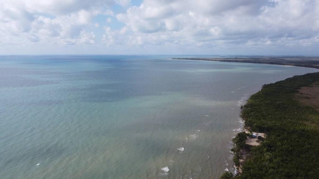 listing image with ID 64001