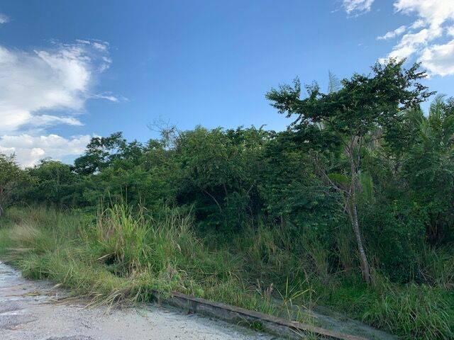 listing image with ID 65032