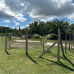 listing image thumbnail with ID 65211