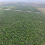 listing image thumbnail with ID 66210