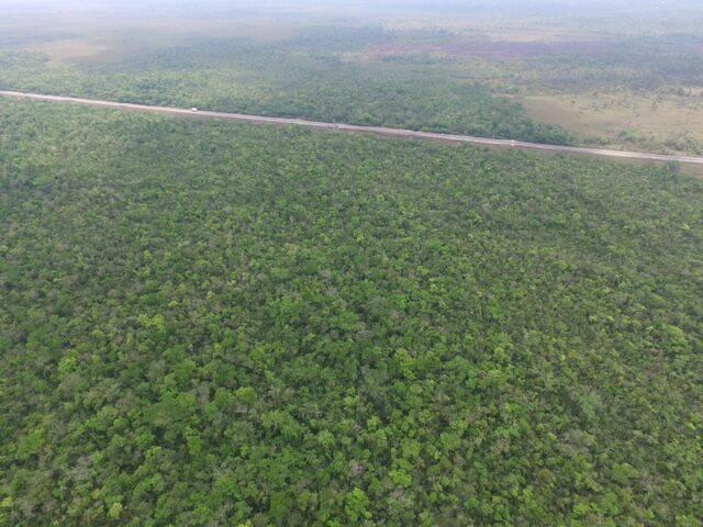 listing image with ID 66210