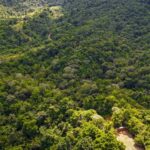 listing image thumbnail with ID 63932