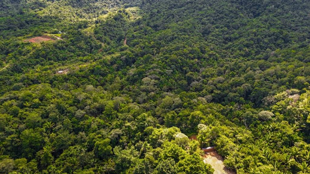 listing image with ID 63932