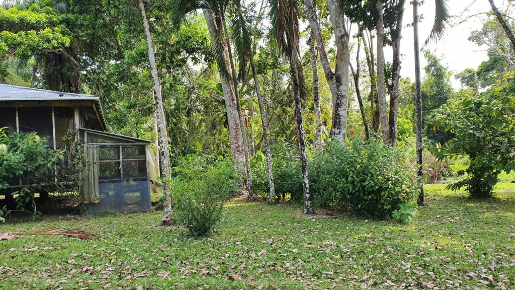 listing image with ID 67362