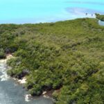 listing image thumbnail with ID 65394