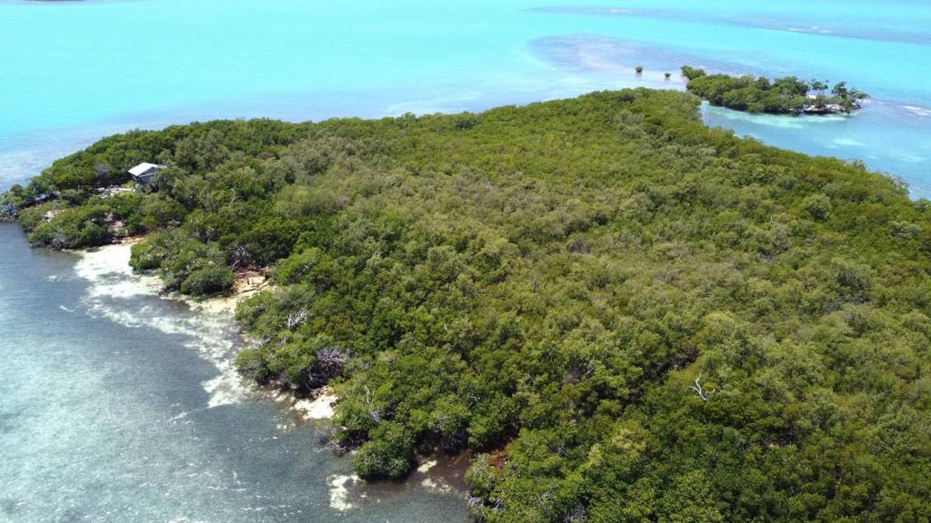 listing image with ID 65394