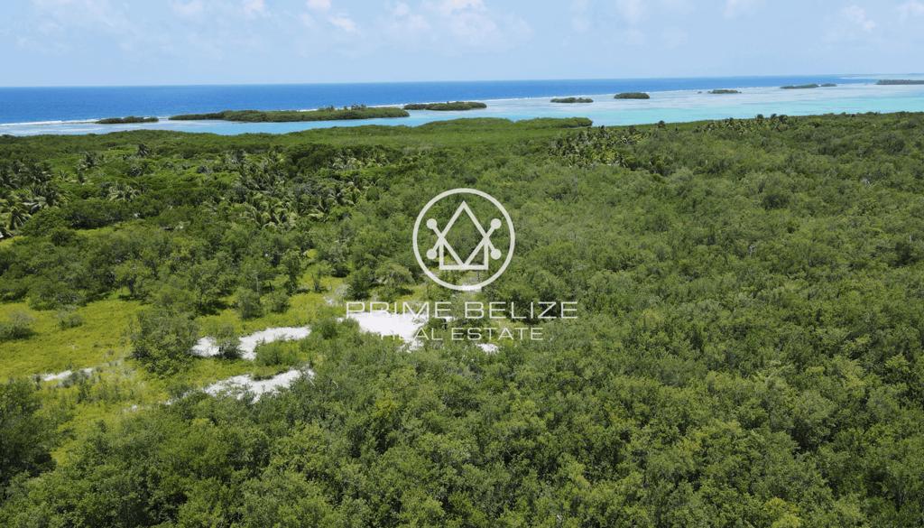 listing image with ID 69267