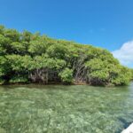 listing image thumbnail with ID 63565