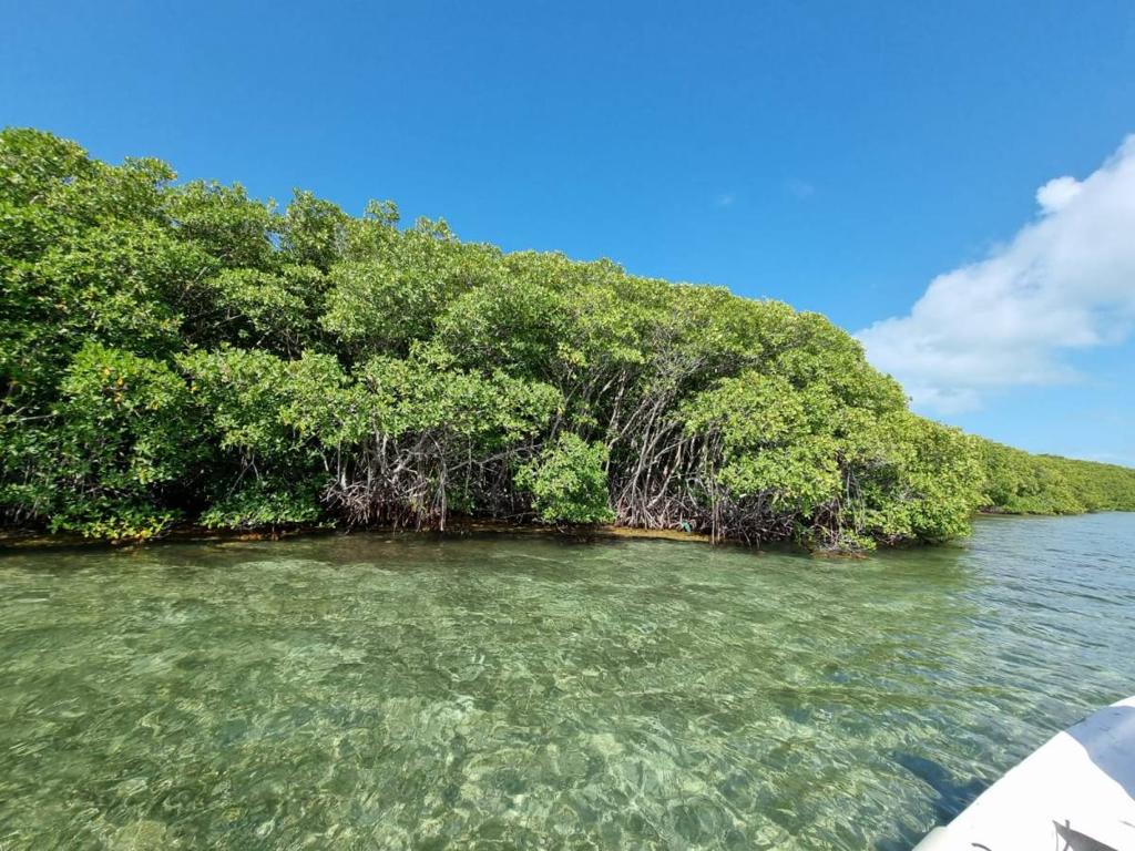 listing image with ID 63565