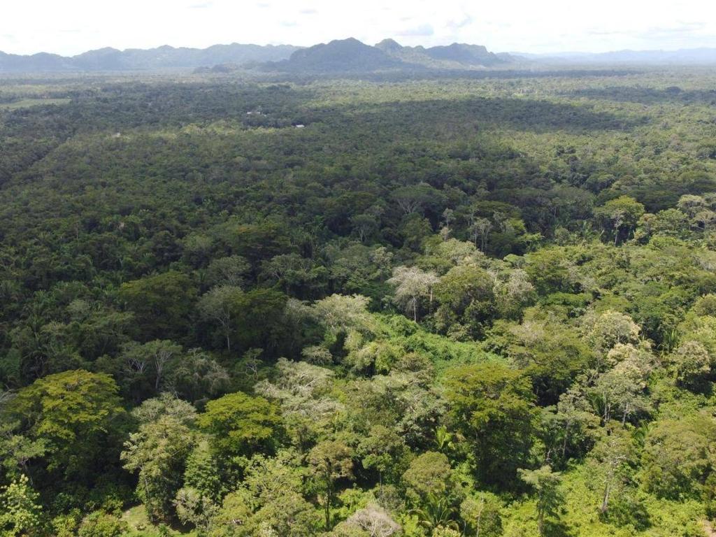 listing image with ID 64202