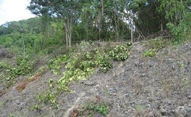 listing image with ID 65636