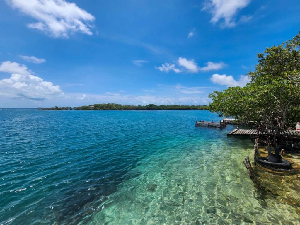 listing image with ID 65845