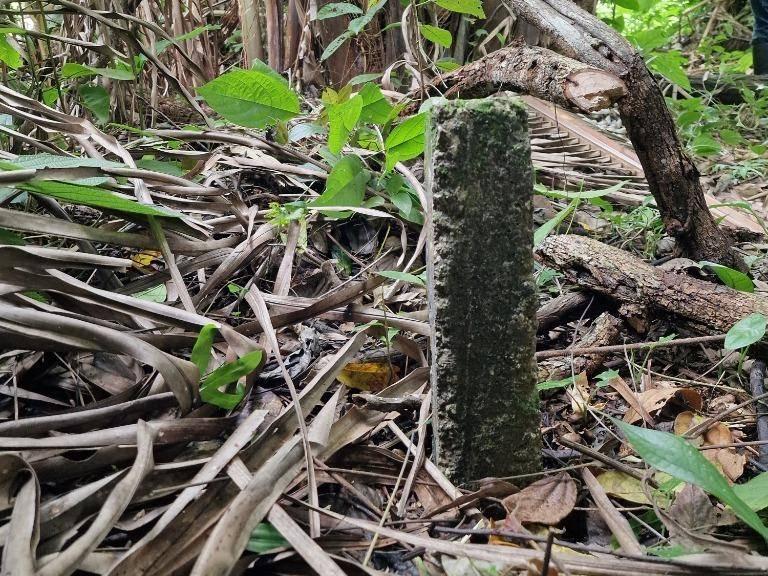 listing image with ID 67536