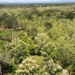 listing image thumbnail with ID 64232