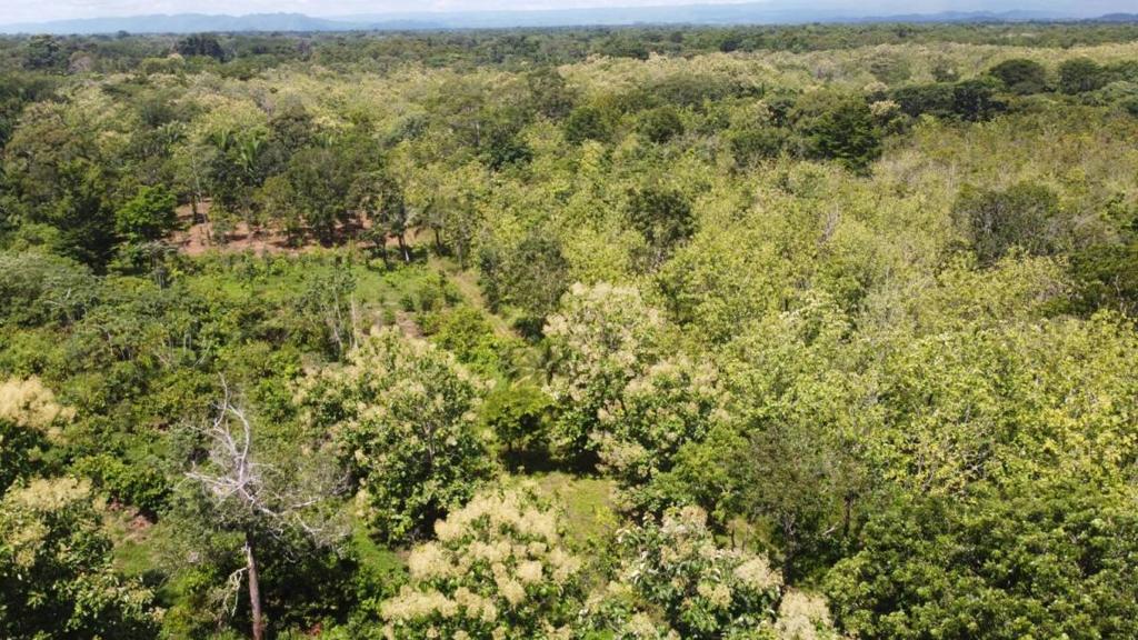 listing image with ID 64232