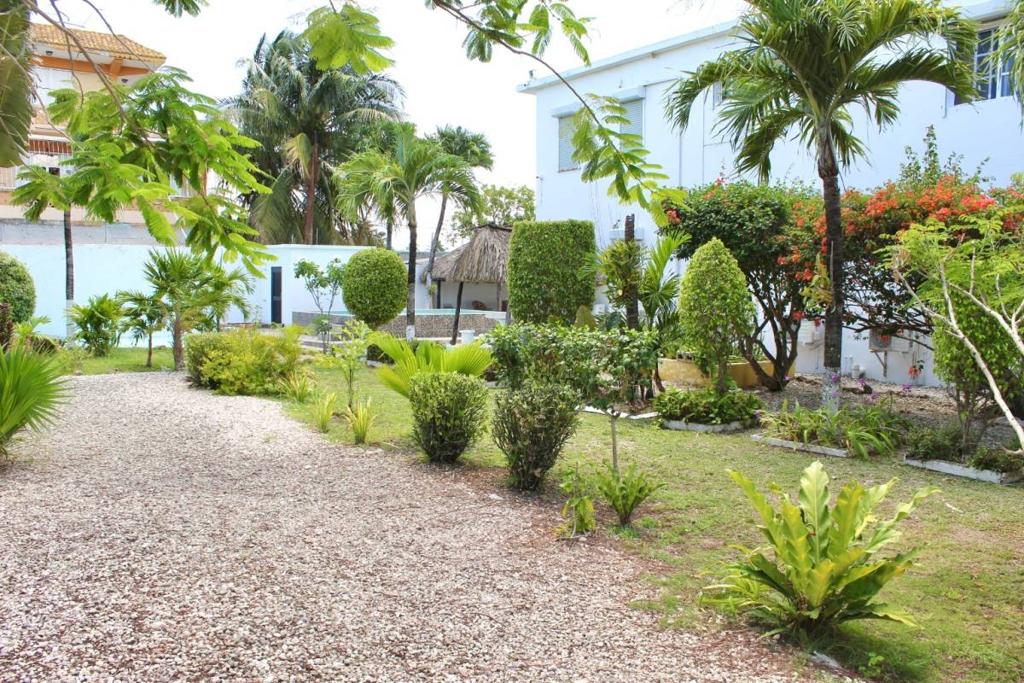 listing image with ID 67120