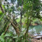 listing image thumbnail with ID 69196