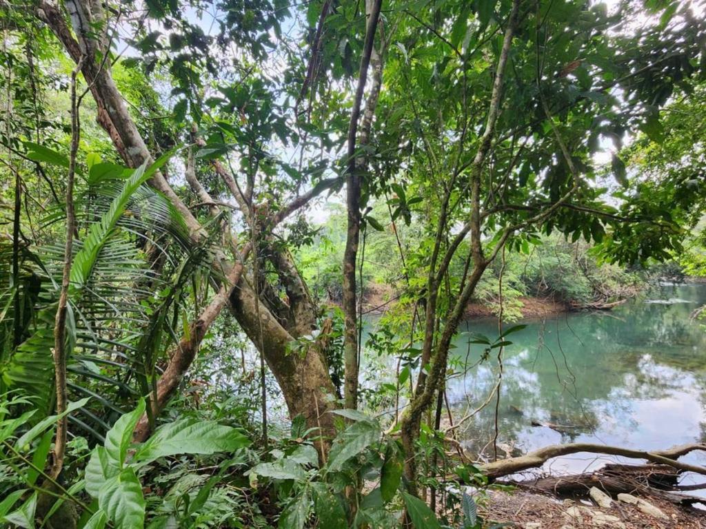 listing image with ID 69196