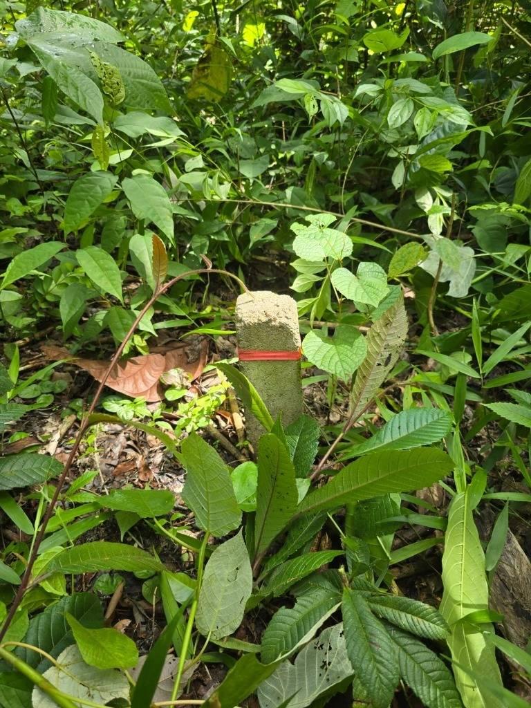 listing image with ID 66680