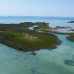 listing image thumbnail with ID 65990