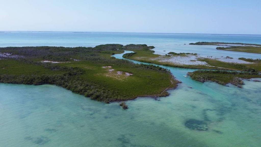 listing image with ID 65990