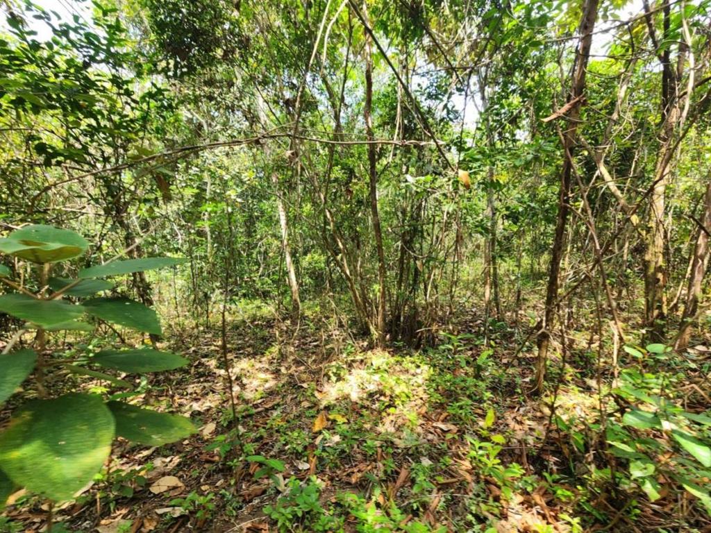 listing image with ID 69210