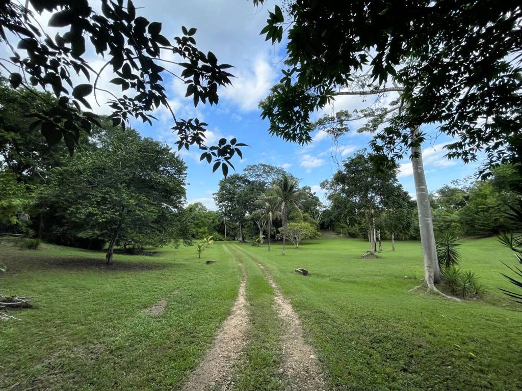 listing image with ID 66687