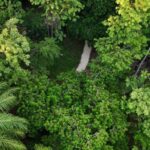 listing image thumbnail with ID 65886