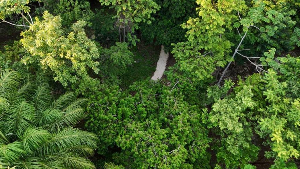 listing image with ID 65886