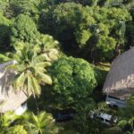 listing image thumbnail with ID 65525