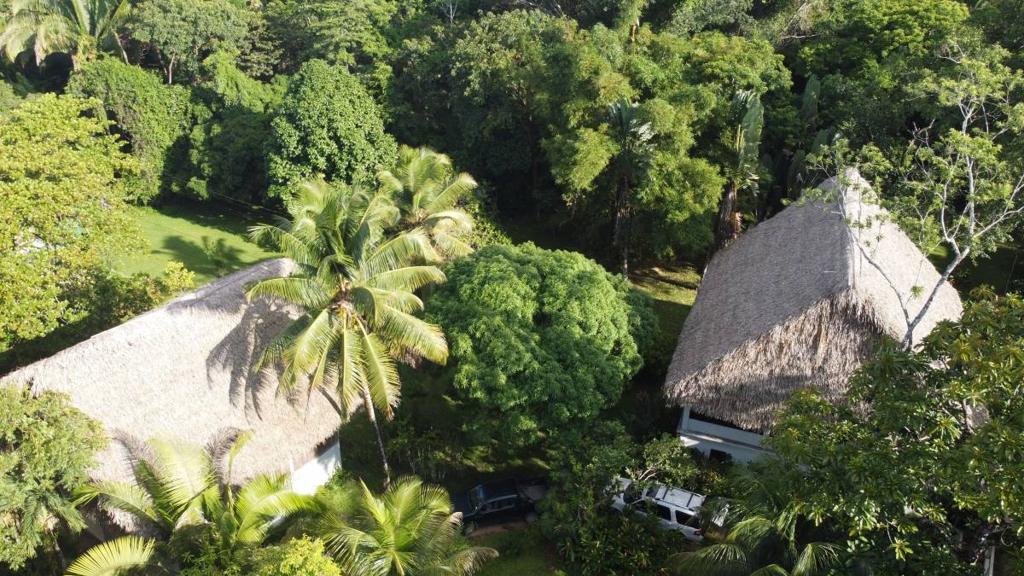 listing image with ID 65525