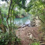 listing image thumbnail with ID 64856