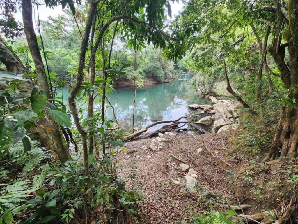 listing image with ID 64856