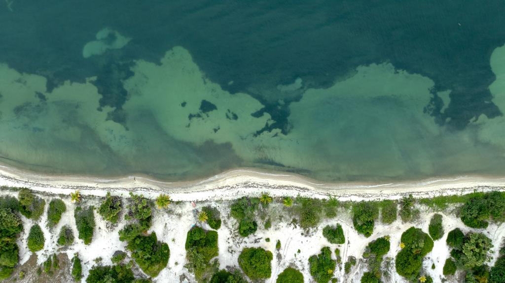 listing image with ID 68735