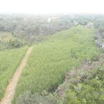 listing image thumbnail with ID 64050