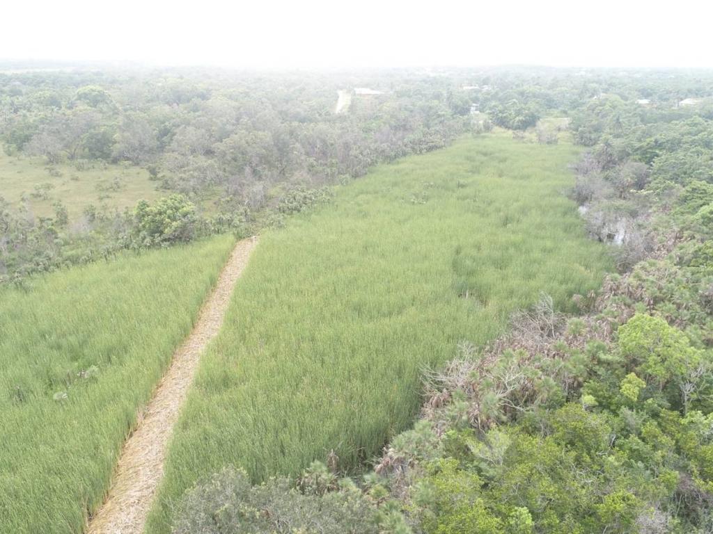 listing image with ID 64050