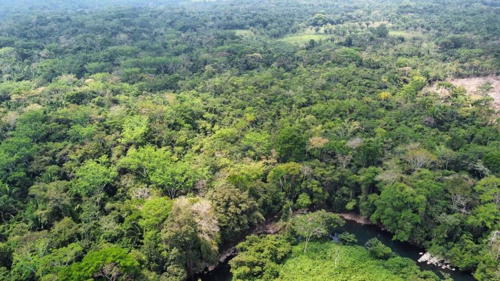 listing image with ID 69187