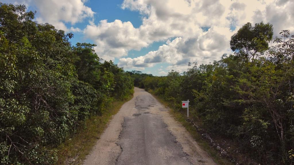 listing image with ID 68694