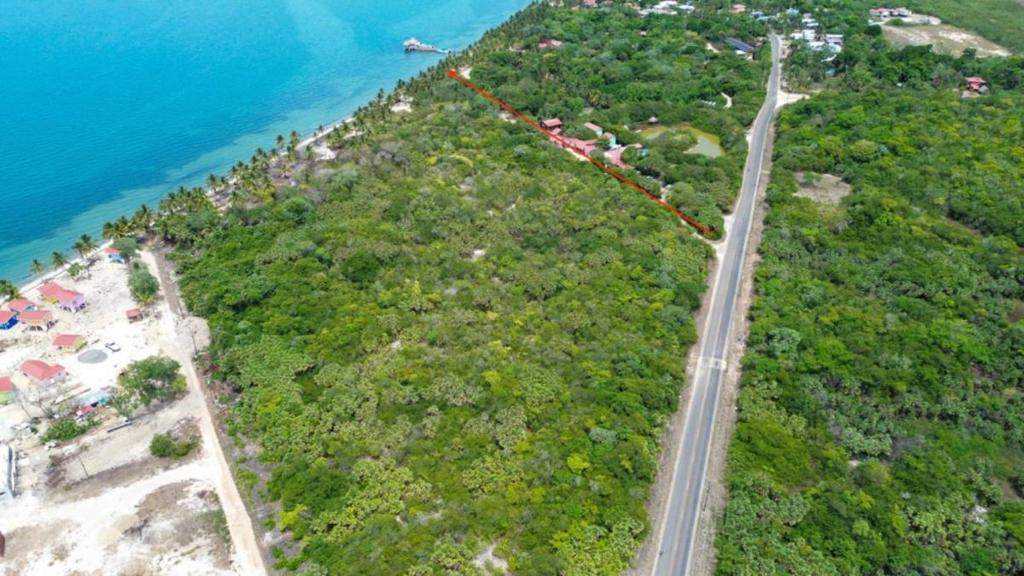 listing image with ID 67335