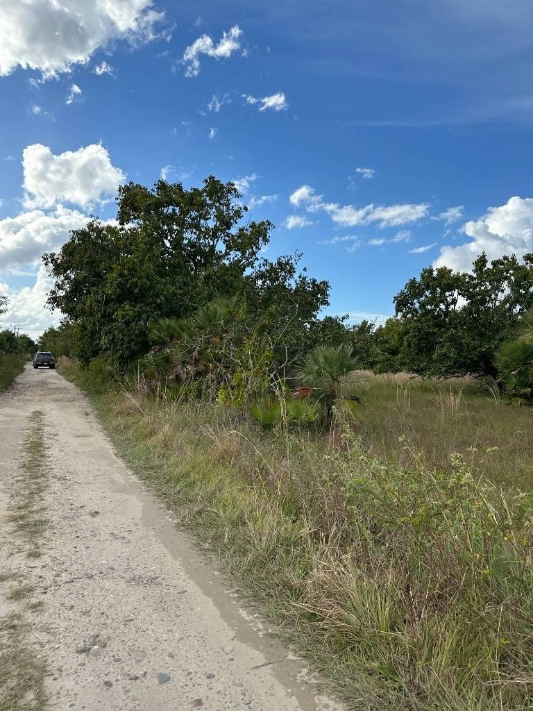 listing image with ID 63987