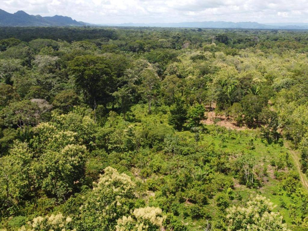 listing image with ID 64192