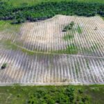 listing image thumbnail with ID 65296