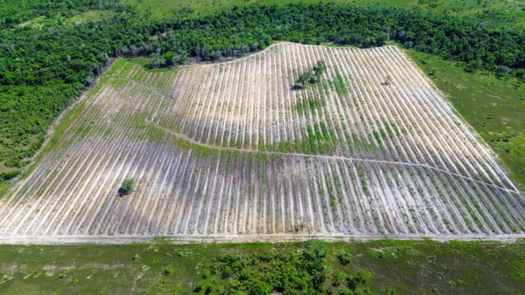 listing image with ID 65296