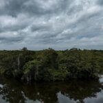 listing image thumbnail with ID 68841