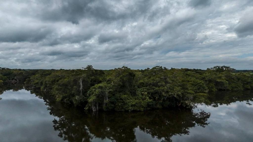 listing image with ID 68841